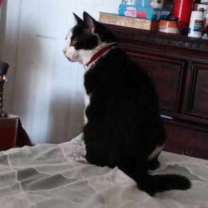 Meet your Posher, Ruby